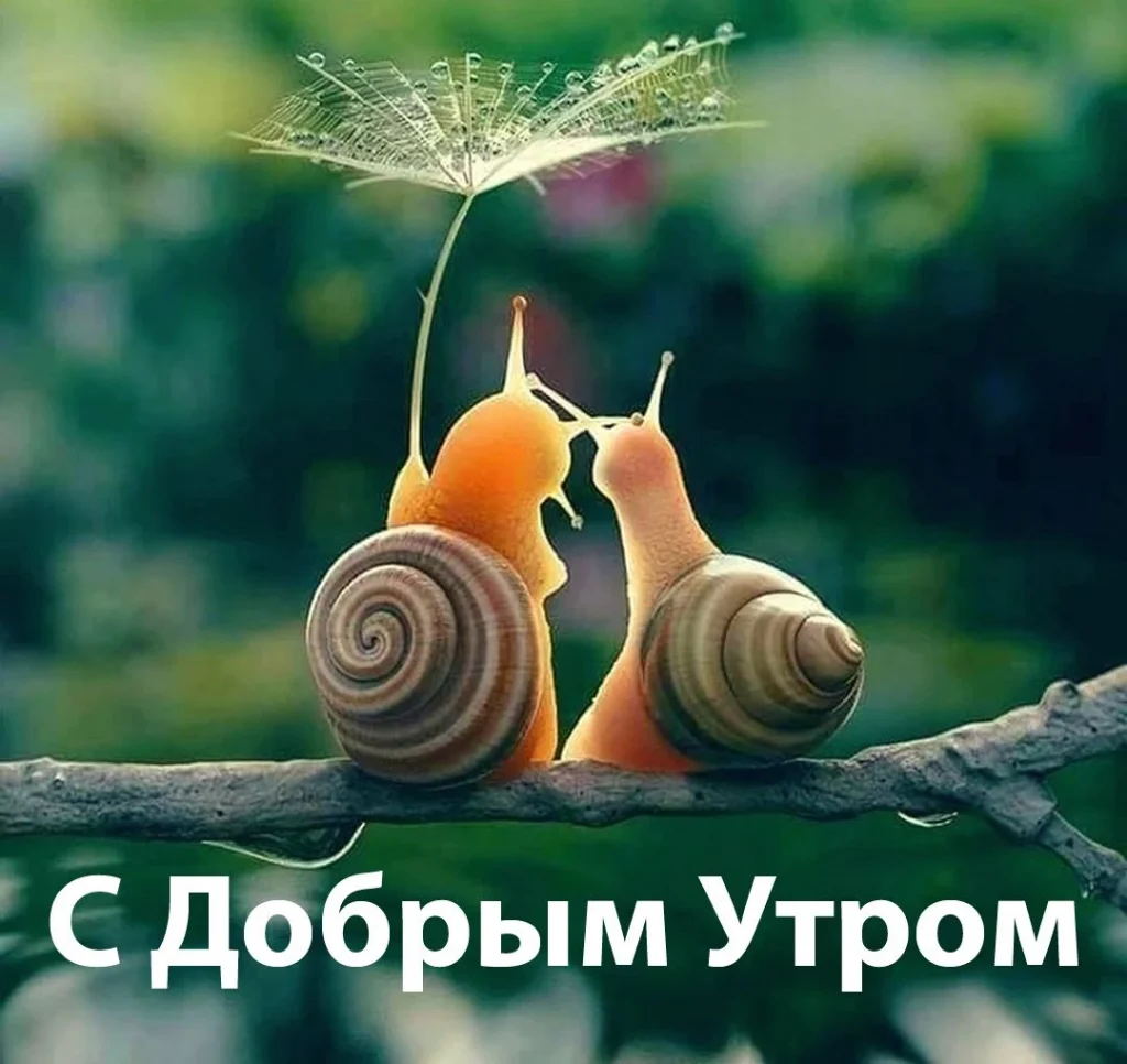 “доброе утро” картинки красивые
